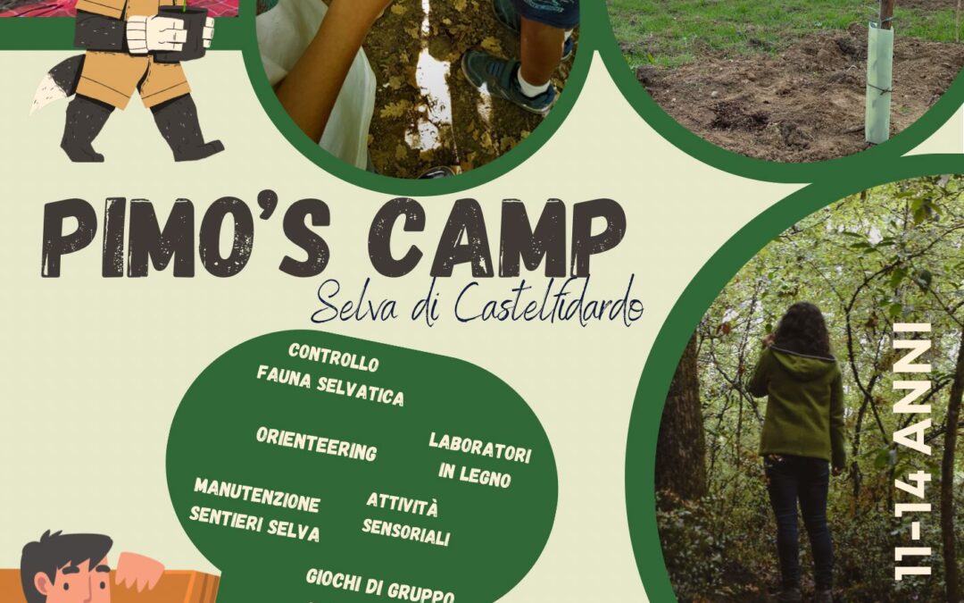 Locandina Pimo's Camp