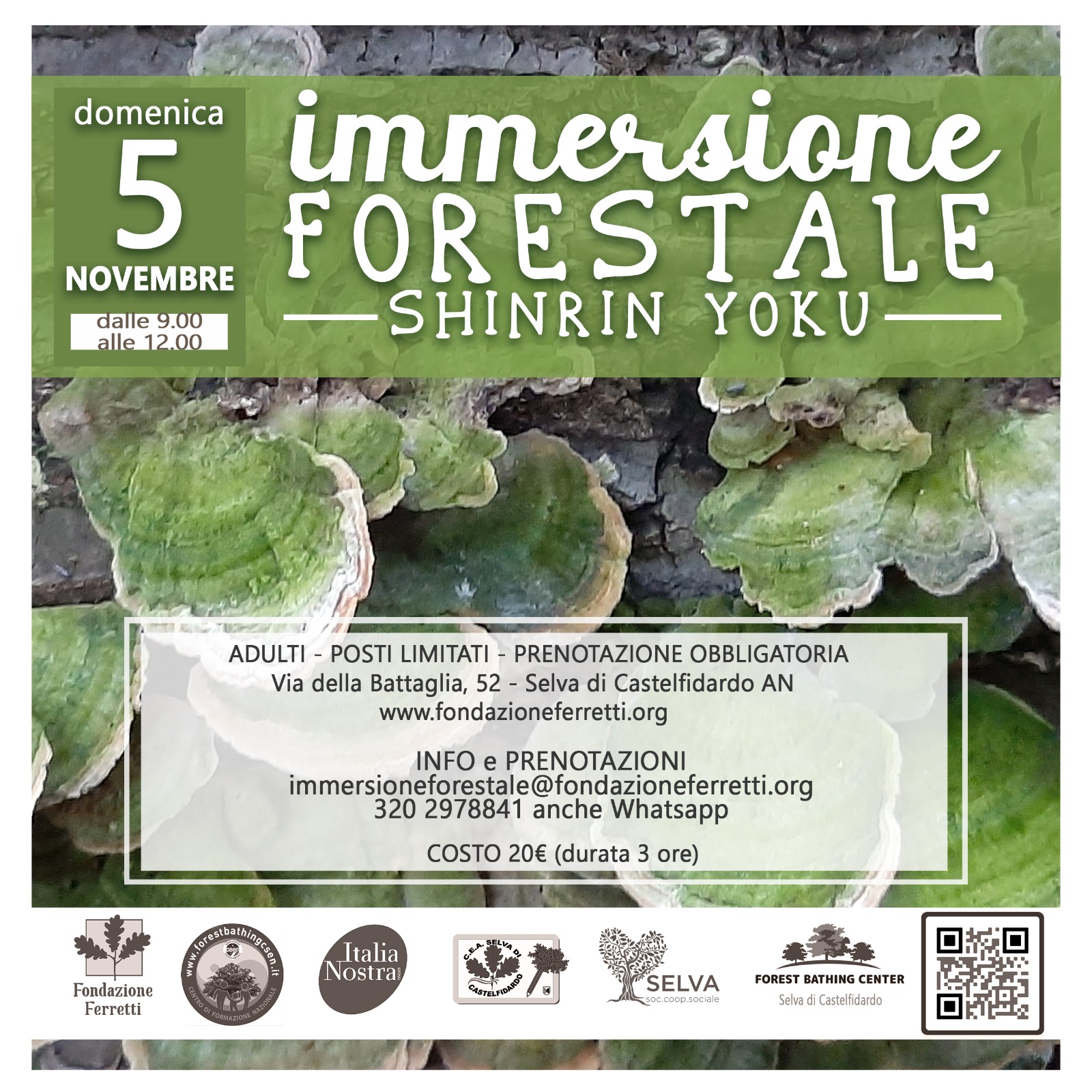 IMMERSIONE FORESTALE