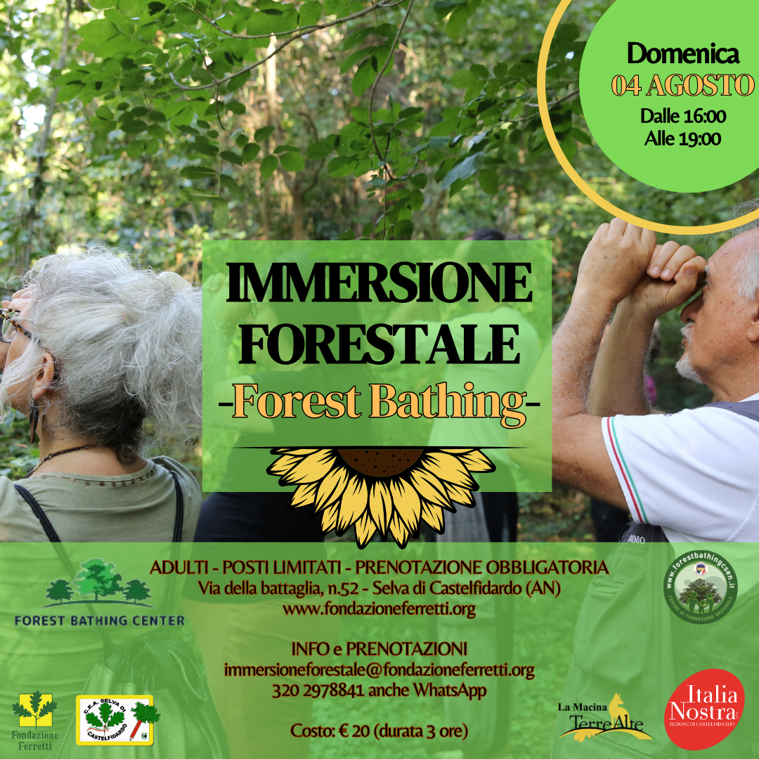 IMMERSIONE FORESTALE del 4 agosto 2024