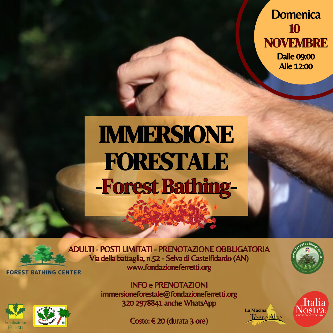 IMMERSIONE FORESTALE del 10 novembre 2024