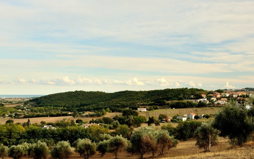 Selva di Castelfidardo: panoramica