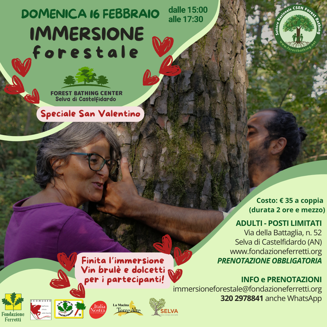 Immersione forestale